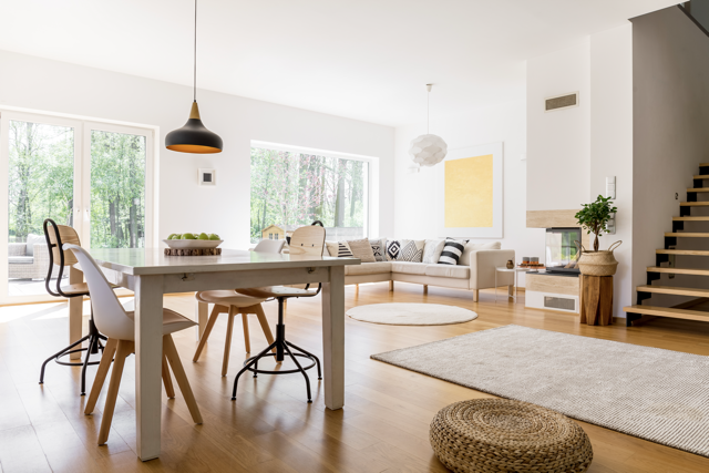 Bright, modern living space with greenery.