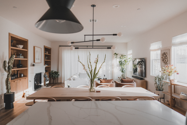 Modern dining area with plants and light