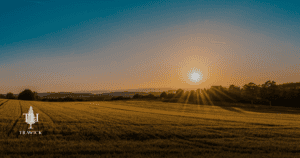 Building on Land You Already Own: 7 Essential Checks