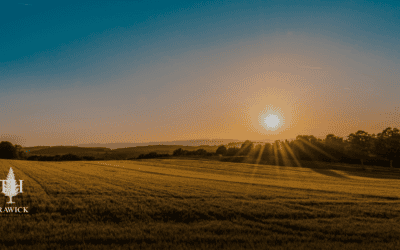 Building on Land You Already Own? What a Good Builder Checks First